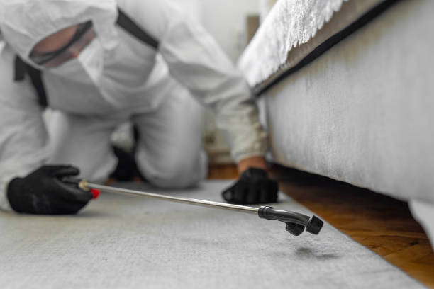 Professional Bed Bug Control technician working in Quitman County County, MS